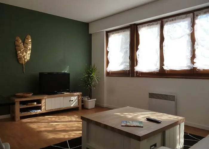 4 Clarence App Avec Parking Hyper Centre 托农莱班